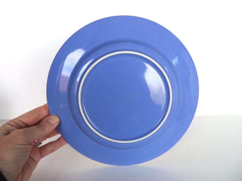 May include: A blue ceramic plate with a white inner rim. The plate is held by a hand against a white background. The plate's diameter is approximately 10 inches.