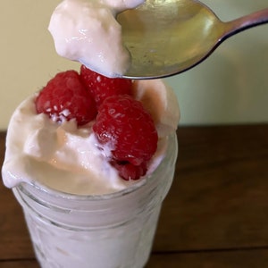 Icelandic Skyr Yogurt Starter Culture | Traditional Mesophilic | Dehydrated & Easy to Use