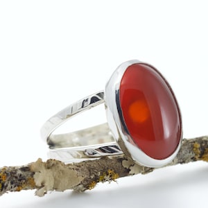 May include: A silver ring with a large, oval, red gemstone. The gemstone has a bright orange center. The ring is set on a textured band and is displayed on a small branch.