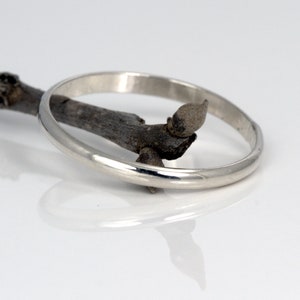 May include: A silver band ring with a smooth, polished finish. The ring is resting on a small, brown twig.