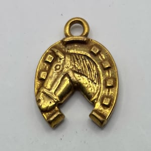 May include: A gold-colored horseshoe charm with a horse head design. The charm features a horseshoe shape with a horse head in the center. The charm has a loop at the top for attaching to a necklace or bracelet.