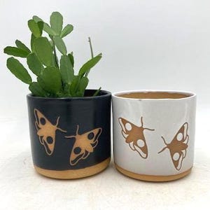 May include: Two ceramic plant pots, one black and one white, each decorated with two brown butterfly designs. The pots have a natural, unglazed base and contain a green plant.
