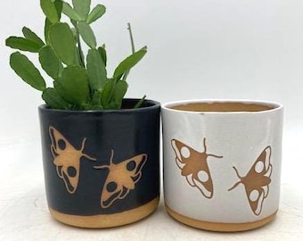 Moth Handmade Ceramic Houseplant Pot