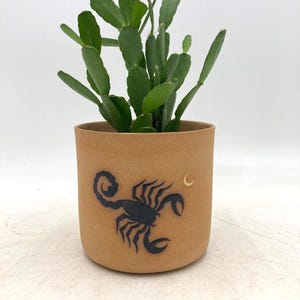 Maceta de cerámica hecha a mano con diseño de escorpión y luna para plantas de interior