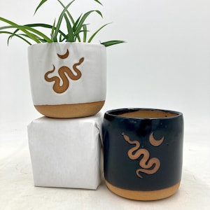Mini Snake and Crescent Moon Handmade Ceramic Houseplant Pot