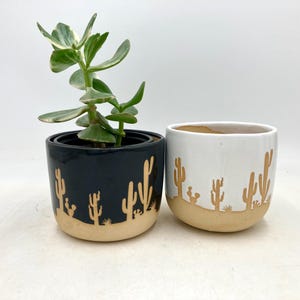 Może przedstawiać: Dwie ceramiczne doniczki, jedna czarna i jedna biała, z motywem pustynnego kaktusa. Czarna doniczka zawiera zielono-białą roślinę sukulentową. Doniczki mają beżową podstawę i są ustawione na białym tle.