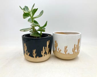 Desert Cactus Plant Pot/Planter, 4 Sizes