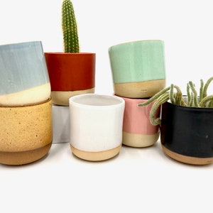 Può includere: Assortimento di otto piccoli vasi in ceramica di vari colori, tra cui blu, giallo, bianco, rosso, verde, rosa e nero. Alcuni vasi contengono un cactus o una pianta grassa.
