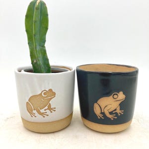 Puede incluir: Dos macetas de cerámica, una blanca y otra azul oscuro, cada una con un diseño de rana marrón. Las macetas tienen una base marrón y contienen un cactus verde. Adecuadas para plantas pequeñas.