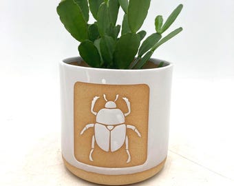 Beetle/Bug/Scarab  Handmade Ceramic Houseplant Pot
