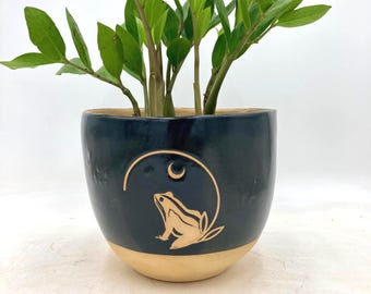 Frog and Moon Planter/Plant Pot in Black