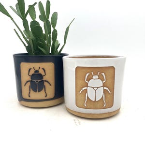 Scarab Handmade Ceramic Houseplant Pot