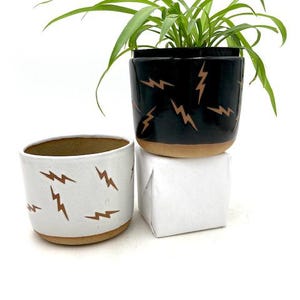 May include: Two ceramic planters with a lightning bolt pattern. The larger planter is black with a white lightning bolt pattern and the smaller planter is white with a brown lightning bolt pattern. A green plant is in the larger planter.