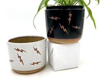 Lightning Bolt Plant Pot/Houseplant, 4 Sizes