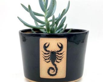 Oval Planter/Plant Pot Scorpion
