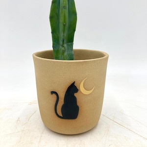 Puede incluir: Una planta de cactus verde en una maceta de cerámica color beige. La maceta presenta una silueta de gato negro y un diseño de luna creciente dorada. La maceta mide unos 10 cm de alto.