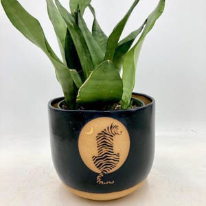 May include: A potted snake plant in a black ceramic pot with a tiger design. The pot has a beige base and a circular design with a tiger silhouette and a crescent moon. The plant has long, green leaves.