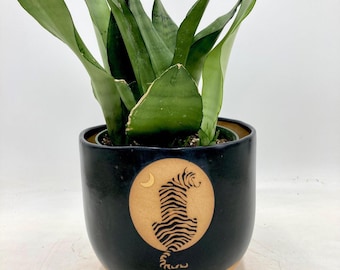 Tiger and Moon Planter/Plant Pot in Black