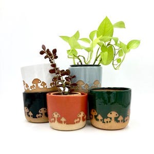 MUSHROOM PLANTER, 4 SIZES