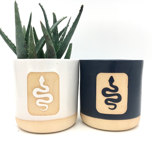 Ceramic Snake Plant Pot/planter Etsy