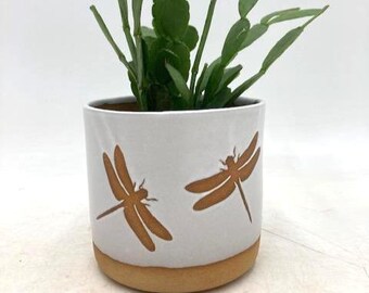 May include: A white ceramic plant pot with two brown dragonfly designs. The pot has a natural, unglazed brown base and contains a green plant. The pot is a decorative item for indoor plants.