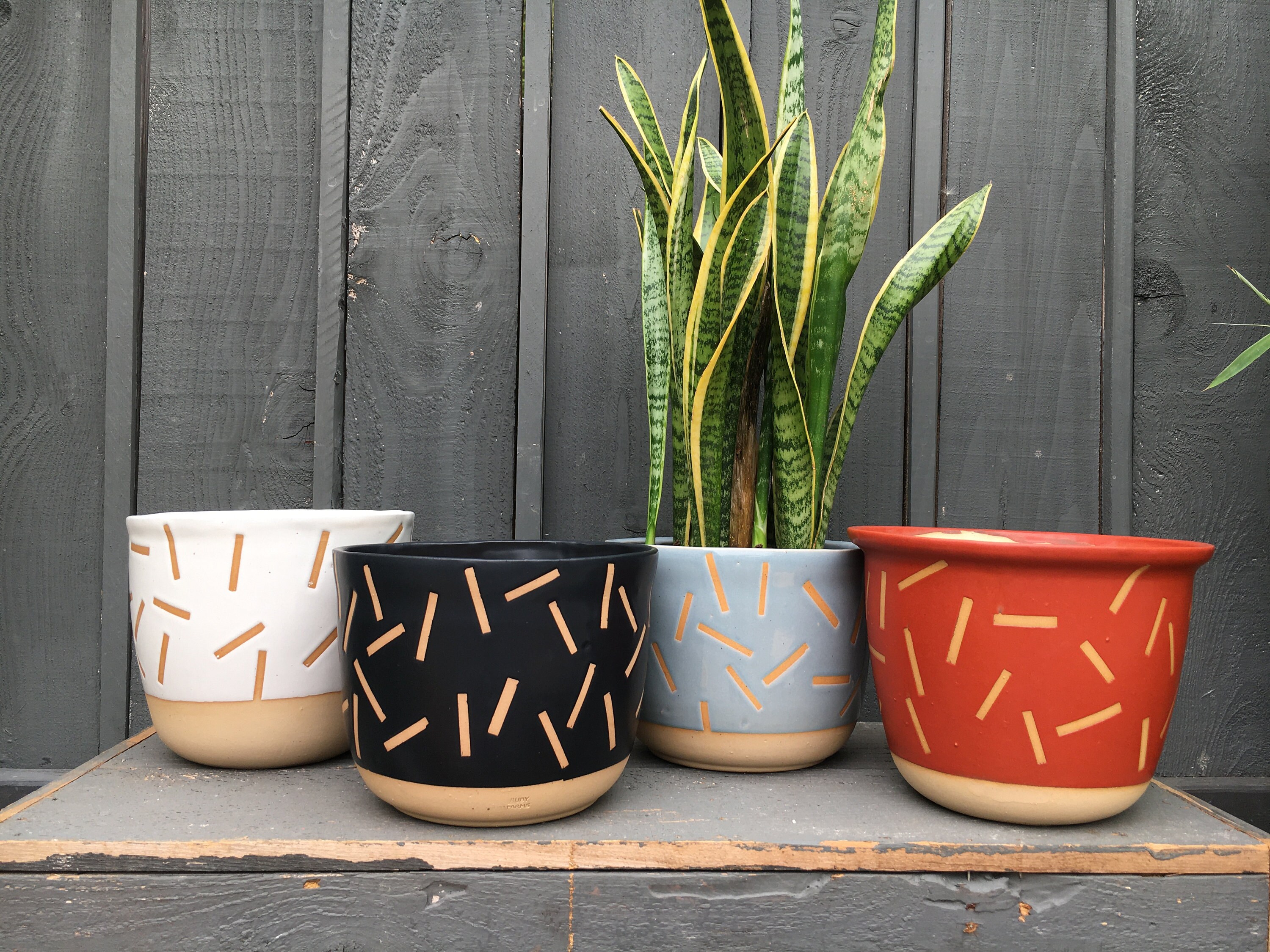 Confetti Plant Pot/Planter 4 SIZES Etsy