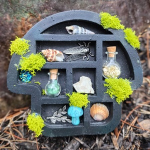 May include: Black mushroom-shaped tray with compartments filled with various small objects, including seashells, a cicada, a small bottle of gold glitter, a small bottle of green liquid, a rock, and a blue mushroom.