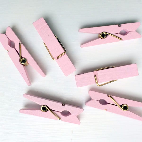 Blush Mini Clothespins, Baby Pink, Blush and Gold, Light Pink Mini Colored Clothespins, 1 3/8 Inch Clothespins, Pretty Clothespins, 10 Count