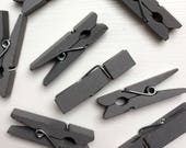 Gray Mini Clothespins, Mini Colored Clothespins, 1 3 8 Inch Clothespins, Grey Clothespins Pretty Clothespins, 10 Count