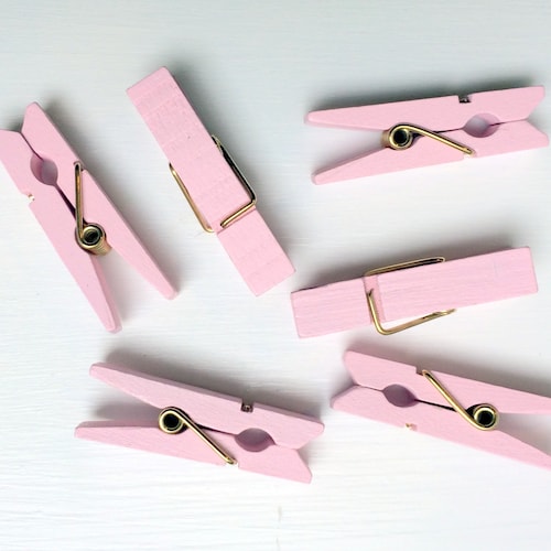 Blush Mini Clothespins Baby Pink Blush and Gold Light Pink Etsy