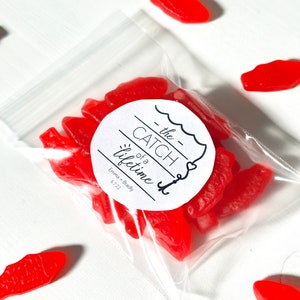 Fisherman Wedding Favors, Wedding Candy Favor Bags & Stickers, Fishing Theme Personalized Bags, Catch of a Lifetime, We Got Hooked Favor Bag