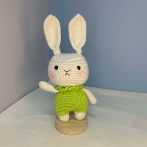 Poupée lapin au crochet faite main : vêtements verts, cadeau pour amoureux des lapins