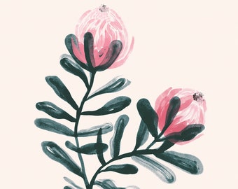 Australian Flora Art Print — Protea — Minimalist Wall Decor, Floral Art, Artist Painting, Botanical Prints, Gardener Gift.