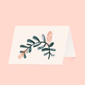 Australian Botanical Blank 4x6 Greeting Cards – Banksia – Original inky illustrations by Nat Carroll