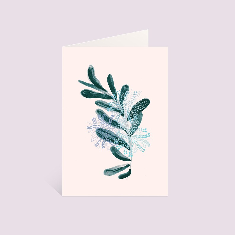 Australian Botanicals, Bundle of three greeting cards, Set of 3 Floral Designs, Blank Card and Envelope Pack image 5