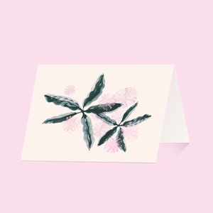 Australian Botanicals, Bundle of three greeting cards, Set of 3 Floral Designs, Blank Card and Envelope Pack image 4