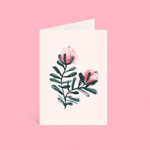 Australian Botanical Blank 4x6 Greeting Cards – Protea – Original inky illustrations by Nat Carroll