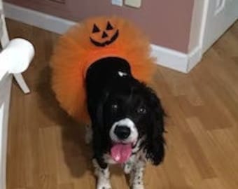Halloween Dog Pumpkin Tutu Pet Parade Costume orange Jack o lantern Tutu