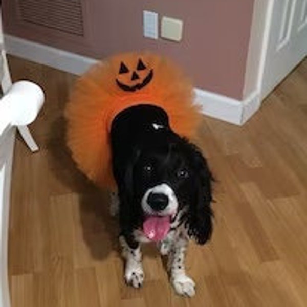 Halloween Dog Pumpkin Tutu Pet Parade Costume orange Jack o lantern Tutu