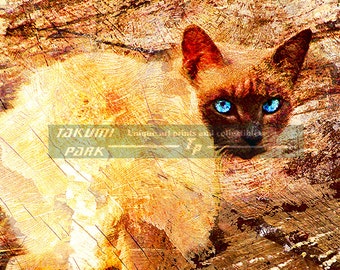 Cat With The Blue Eyes, Cat Art Print, Modern Animal Artwork, Nature Art Photo Print, Wildlife Decor, Cat Wall Art Decor, Living Room Decor