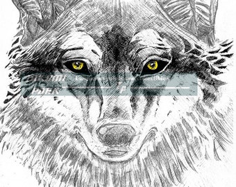 Wolf Artwork, Wall Art Print, Animal Wall Decor, Wolf Picture, Wildlife Art, Wolf Drawing, Gift Idea, Nature Photo Print, Wolf Room Decor,