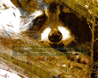 Charming Raccoon Art Print, Nature Decor, Wildlife Art, Animal Print, Modern Art Print, Home Wall Decor, Raccoon Decor, Nursery Decor