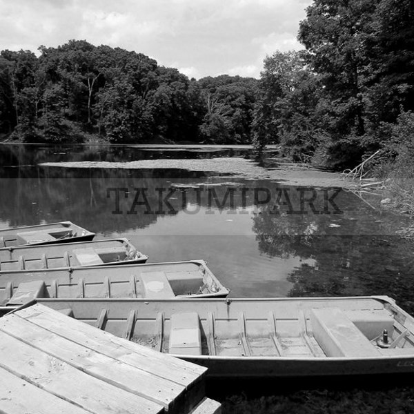 Lake Scene, Living Room Wall Decor, Black And White Photo Print, Summer Scene Photo, Rural Photography, Lake Decor, Lake Photograph