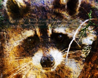 Raccoon Art Print, Nature Art, Woodland Creatures, Animal Wall Art Print, Forest Animal, Woodland Animal, Wildlife Decor, Woodland Critter