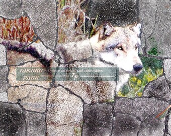 Modern Wolf Art Print, Animal Artwork, Home Decor, Wildlife Art Print, Nature Art, Unique Gray Wolf Art, Bedroom Decor, Wolf Photo Print