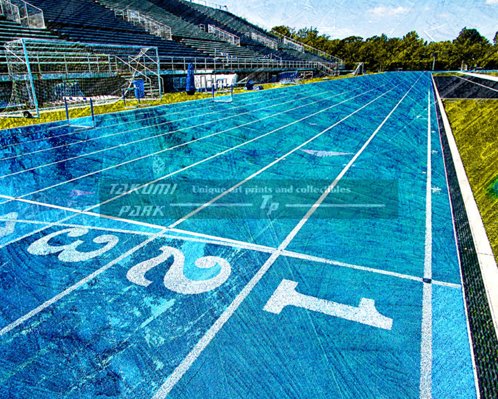 Photo Print, Track and Field Artwork, Sports Art Print, Gift for