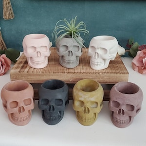 May include: Seven concrete skull planters in various colors, including pink, gray, black, yellow, and brown. The planters are arranged in a row on a wooden surface.
