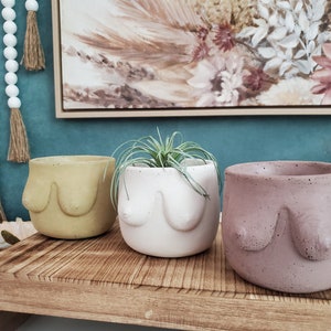 May include: Three ceramic planters in shades of yellow, white, and pink, each shaped like a torso with breasts. The planters are displayed on a wooden tray, with a painting and decorative beads in the background. One planter holds a small plant.
