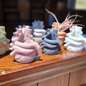Heart Ventricle Planter Concrete Plant Pot With Drainage -  Modern Planter - Unique Planter- Succulent Planter - Planter 2&quot;