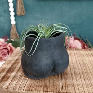 Butt Booty Planter Concrete Plant Pot With Drainage -  Modern Planter - Unique Planter- Succulent Planter - Planter 3"